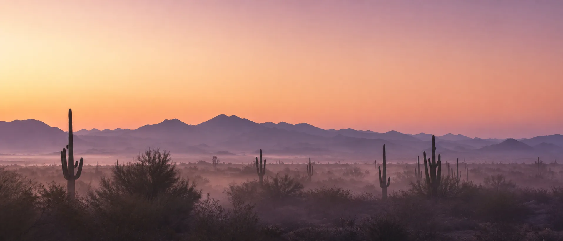 A serene space for Collective Love Coaching's free Sunday meditation